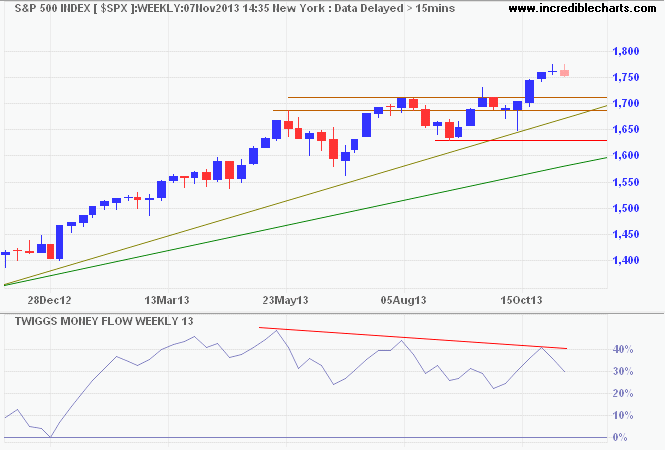 S&P500 2013