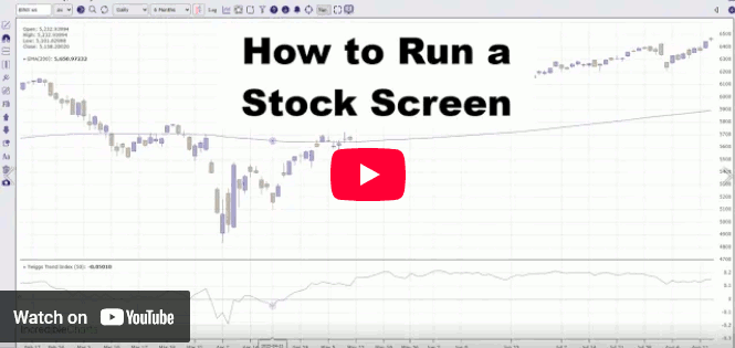 How to Run a Stock Screen